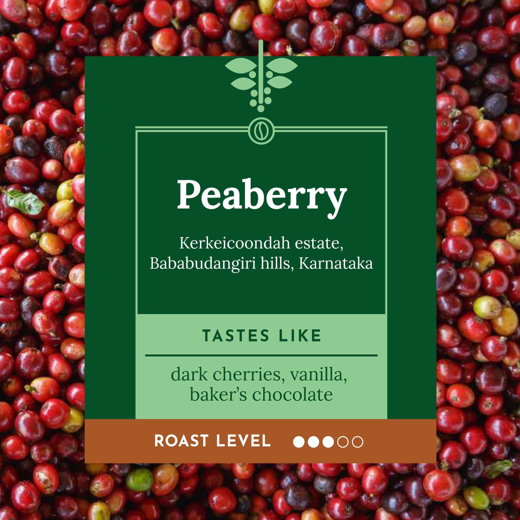 PEABERRY Kerkeicoondah Medium Roast Espresso Outlet LLC PEABERRY Kerkeicoondah Medium Roast Espresso Outlet LLC
